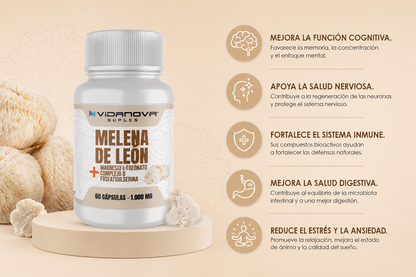 Melena de león FORTIFICADA